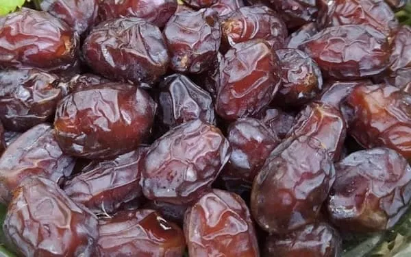 خرید خرما خاصویی درجه یک + بهترین قیمت